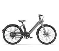 Bird Električno kolo Bike V-FRAME Siva