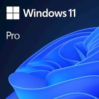 Microsoft DSP Windows 11 Professional 64bit, angleški